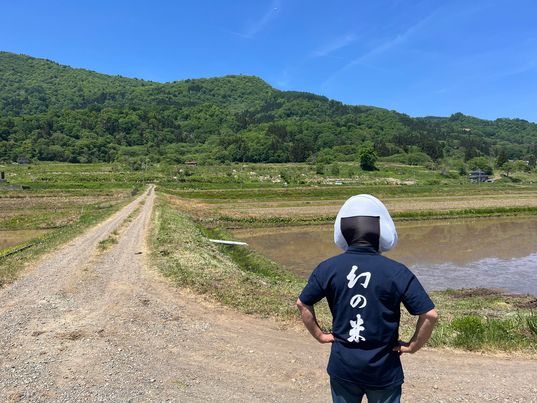 長野県飯山市幻の米を仕入れました✨　～寝屋川　お米屋さん～